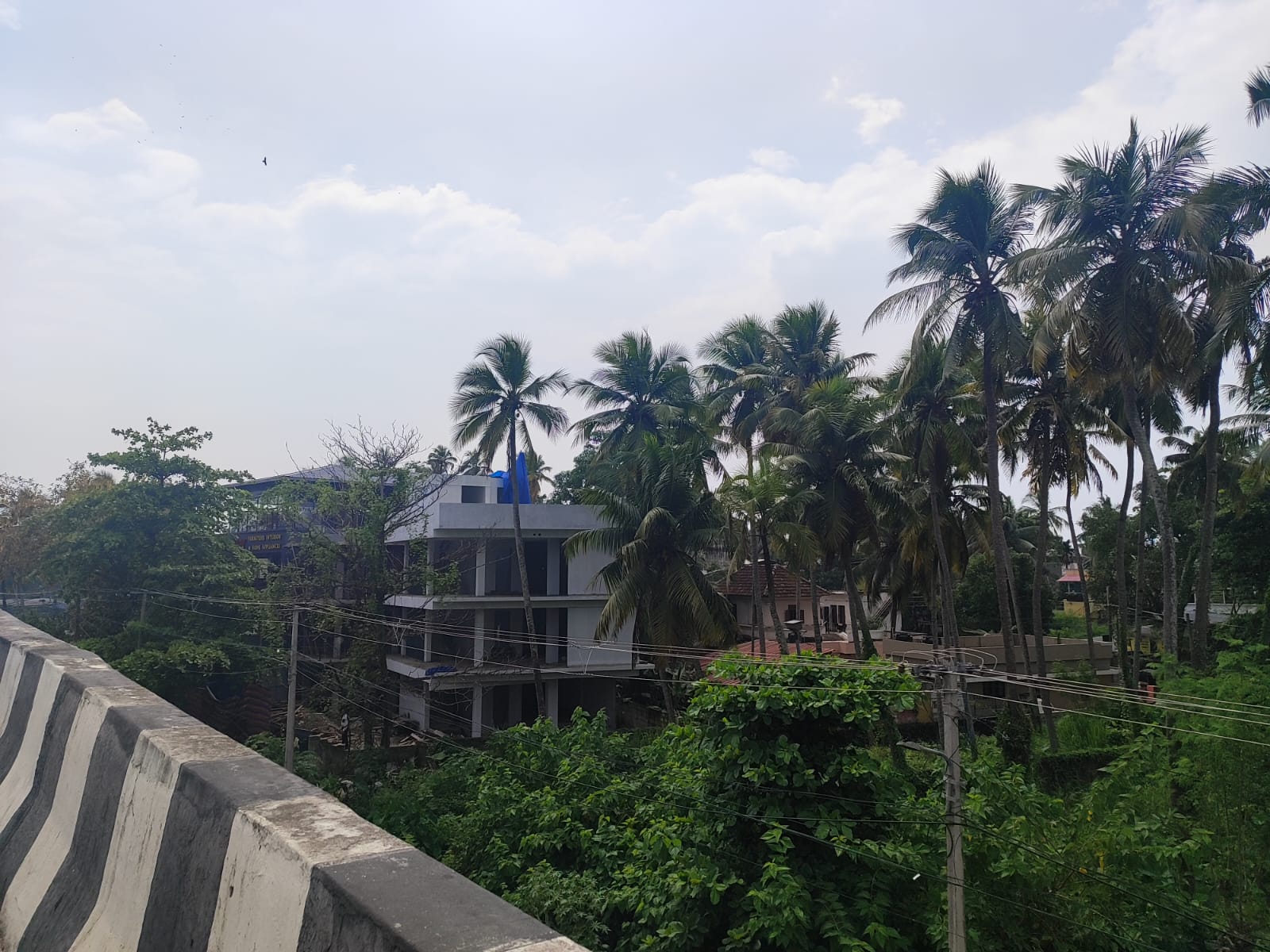Land photo