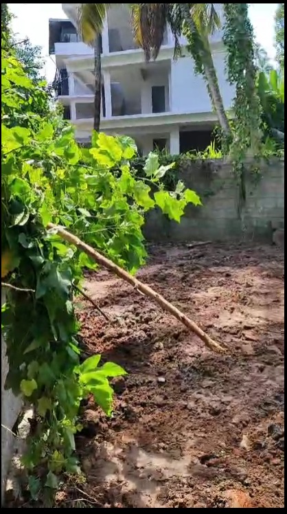 Land pic