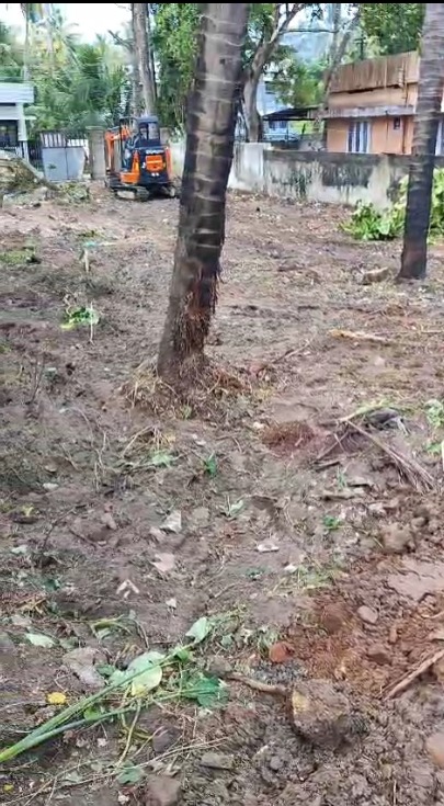 Land pic