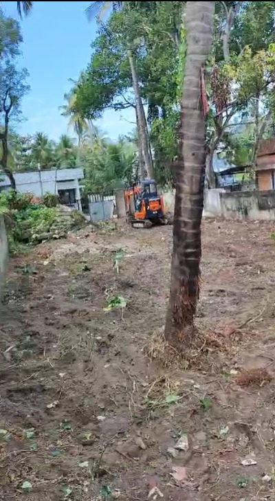 Land pic