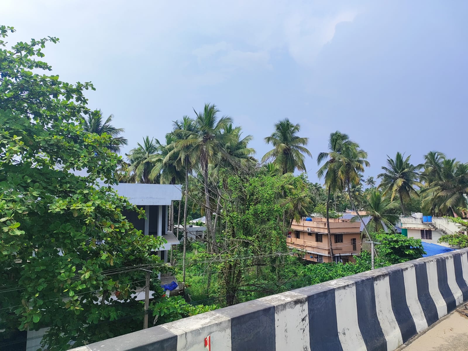 Nh view