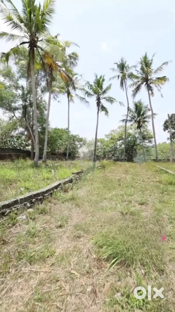 21 Cent Residential Land for Sale in Vazhayila