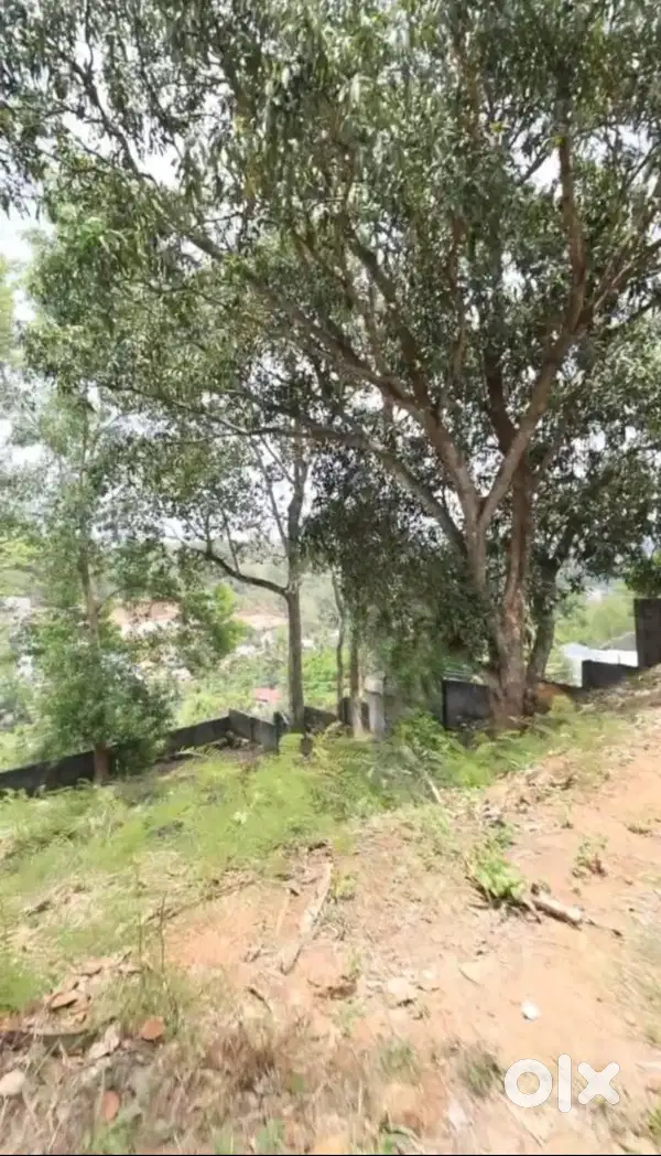 Land