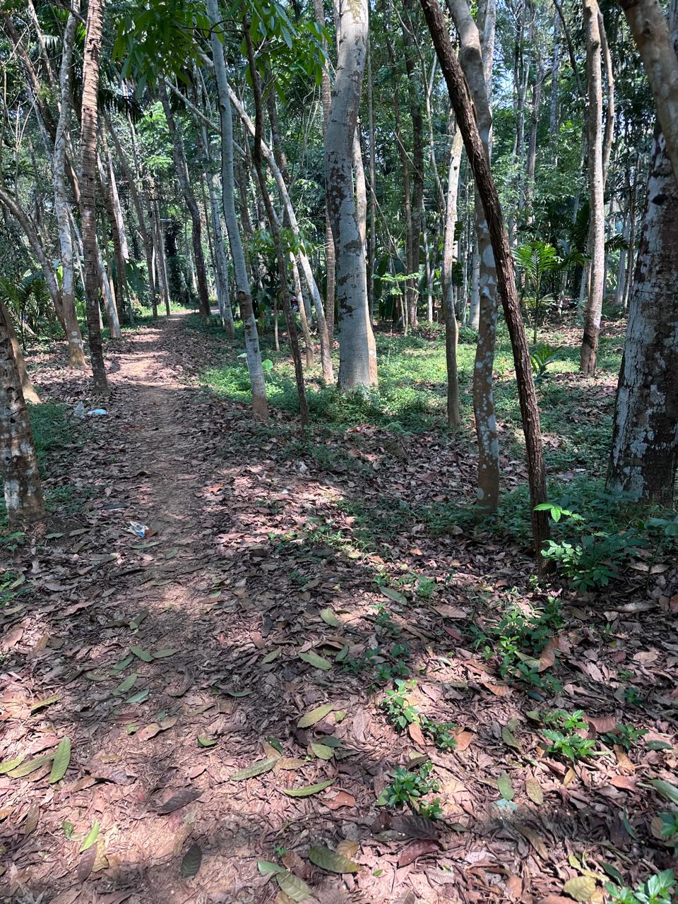 Land pic