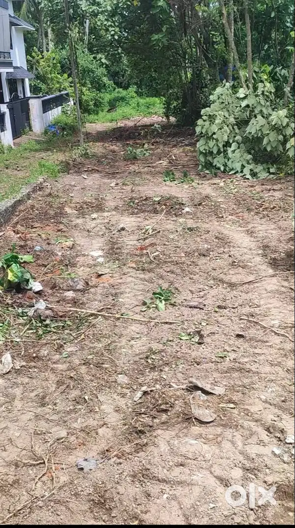 Land
