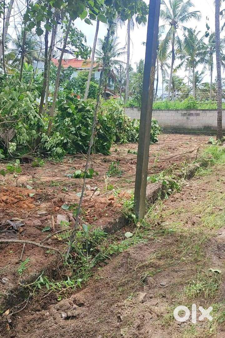Land pic