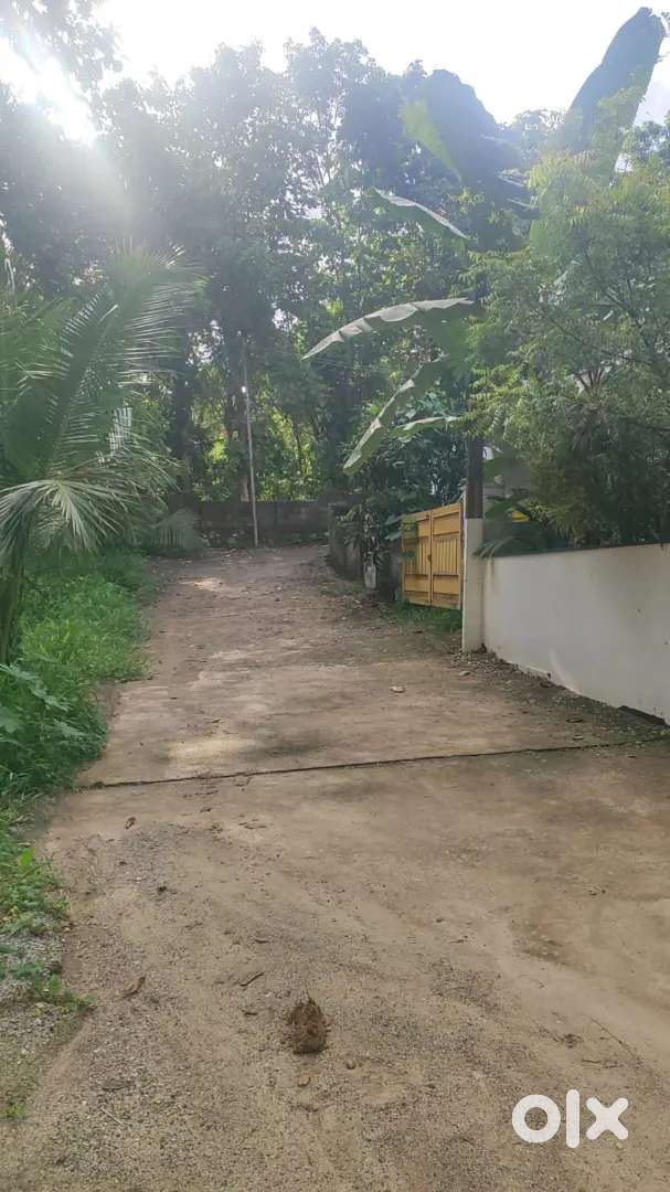 Land photo