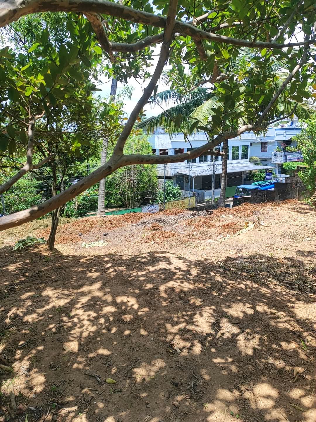 31-Cent Residential Land for Sale in Plamoodu, Near Anadiyil