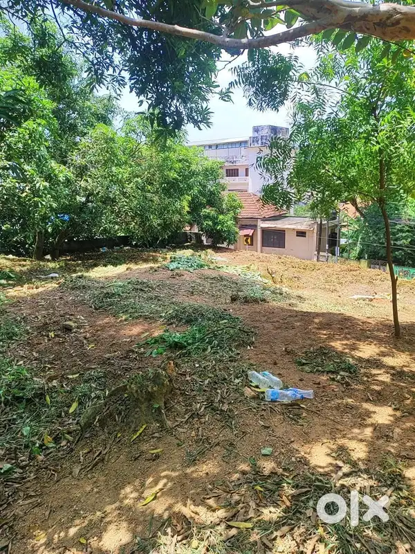 Land photo