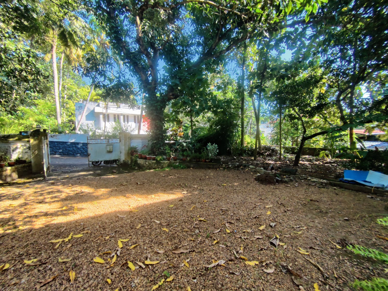 44 Cent Residential Land & House for Sale in Vettamukku