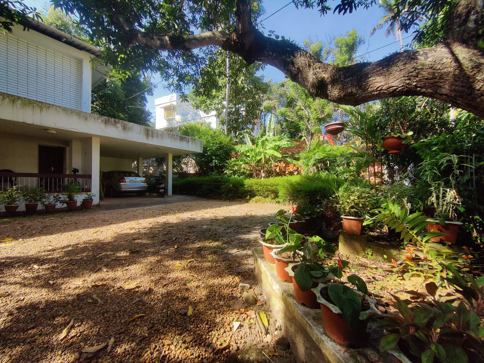 44 Cent Residential Land & House for Sale in Vettamukku