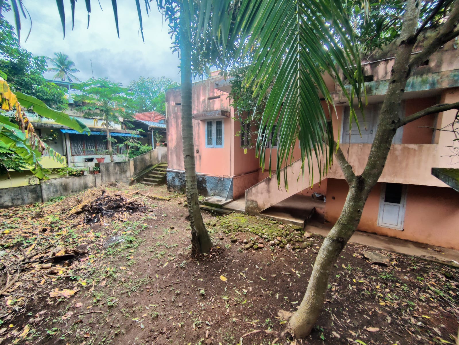 Back view