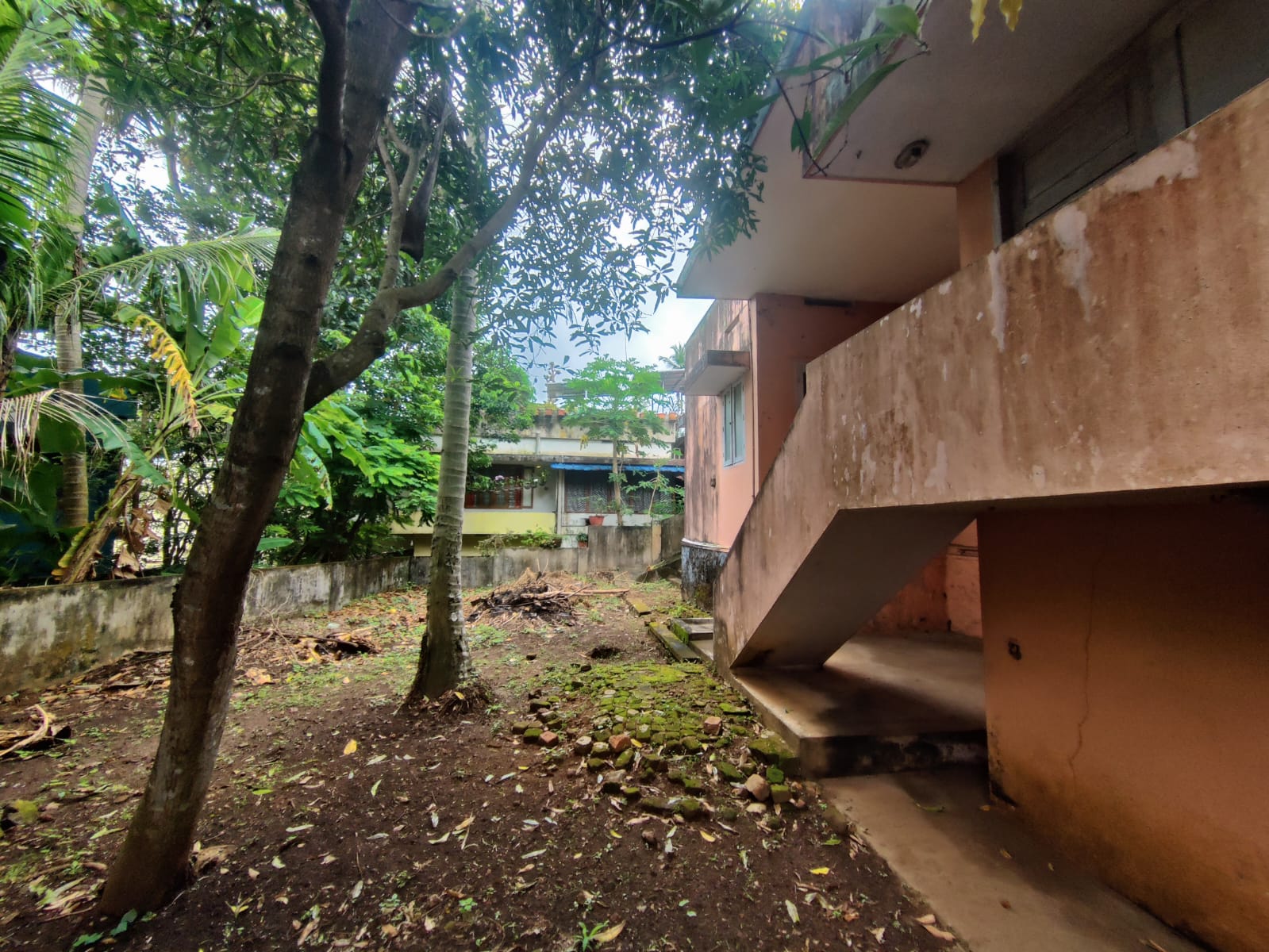Side View