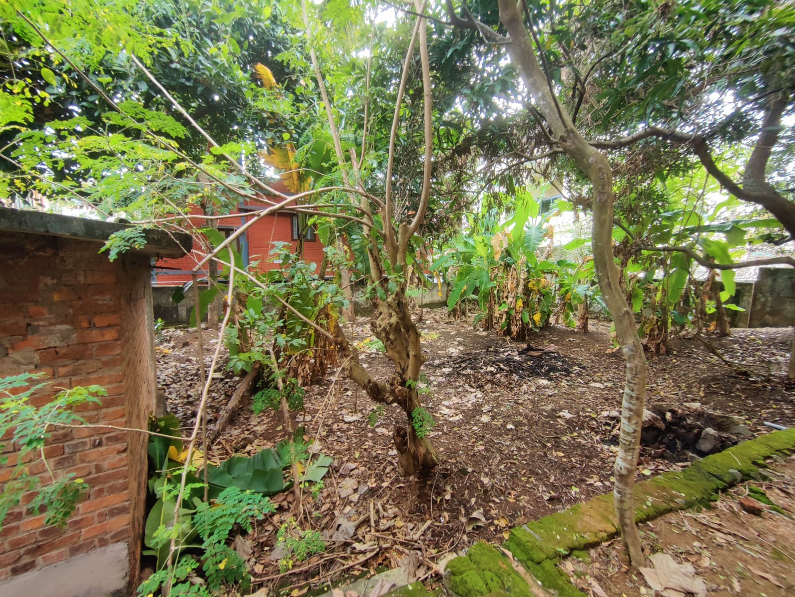 30 Cents residential land for Sale at DPI Jn
