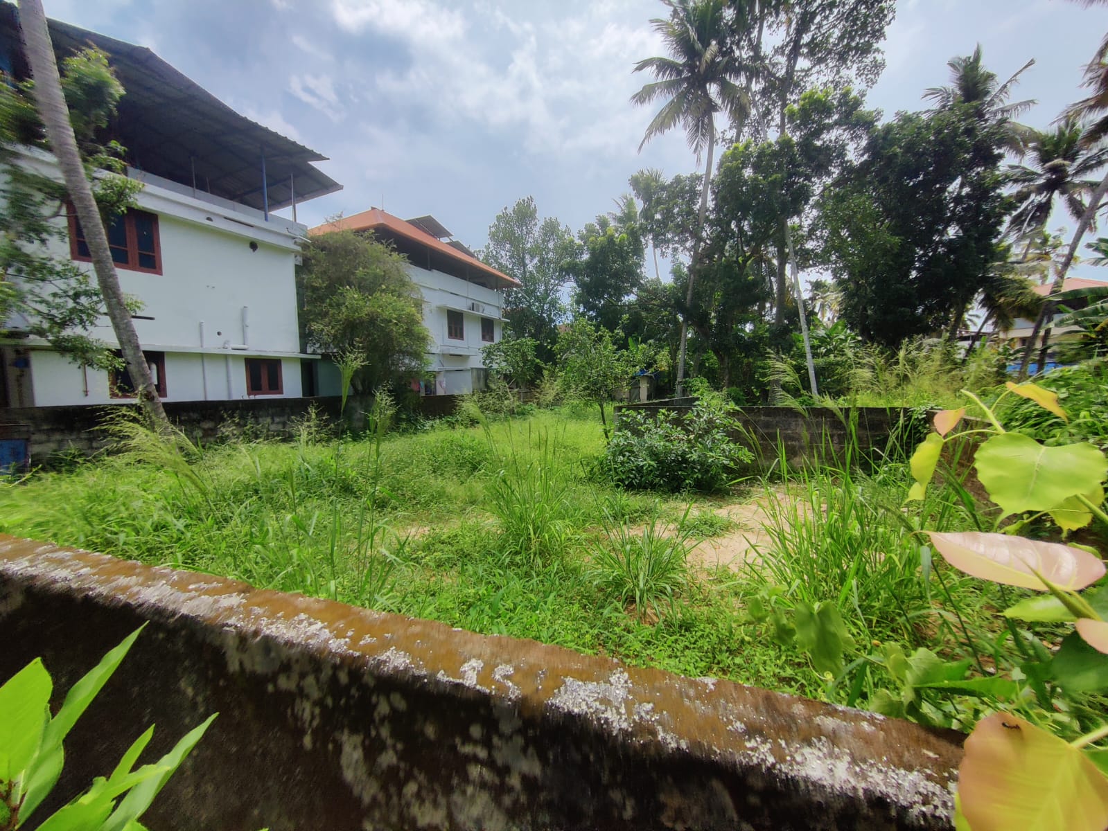 Land