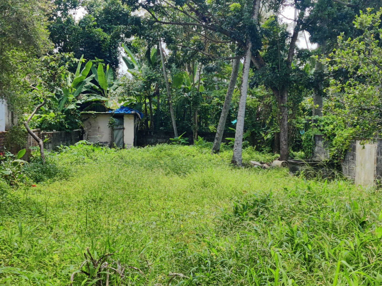 Land