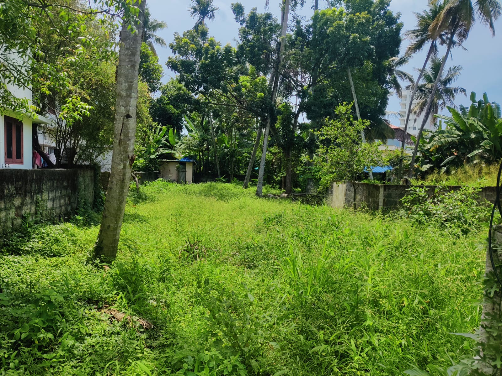 Land