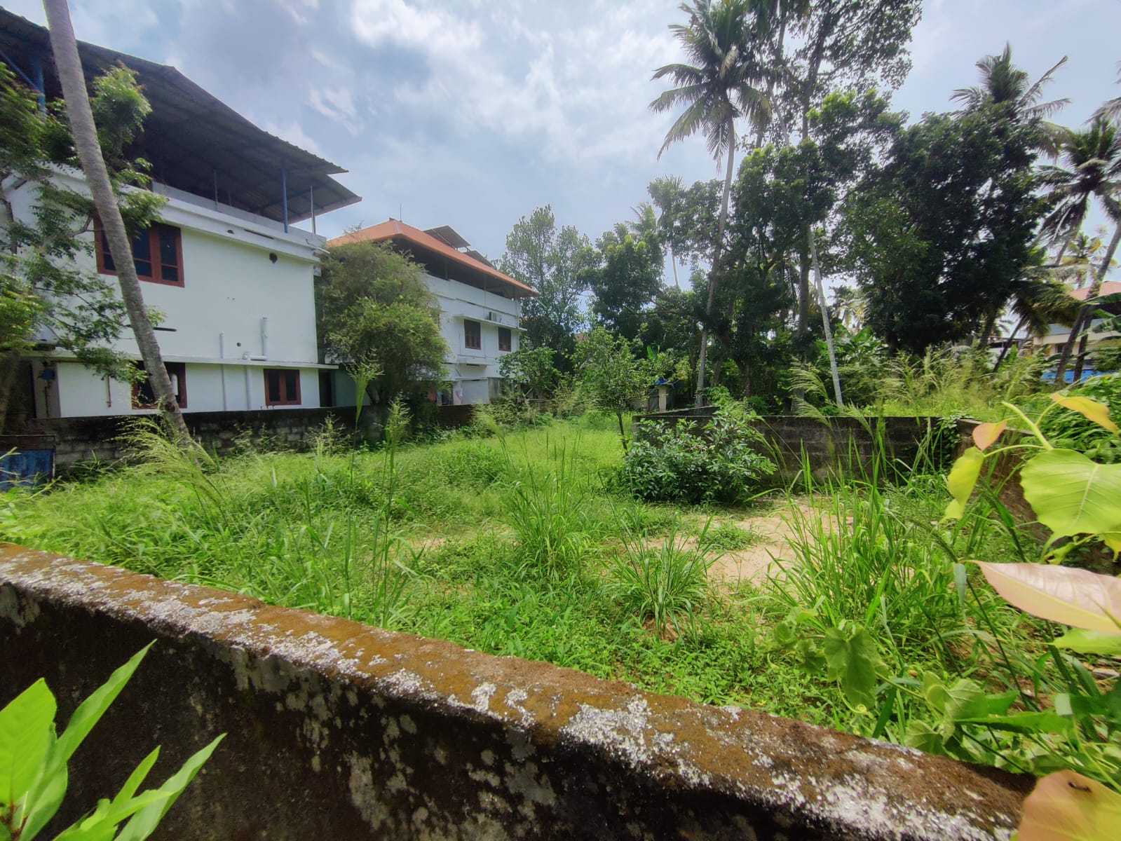 Land