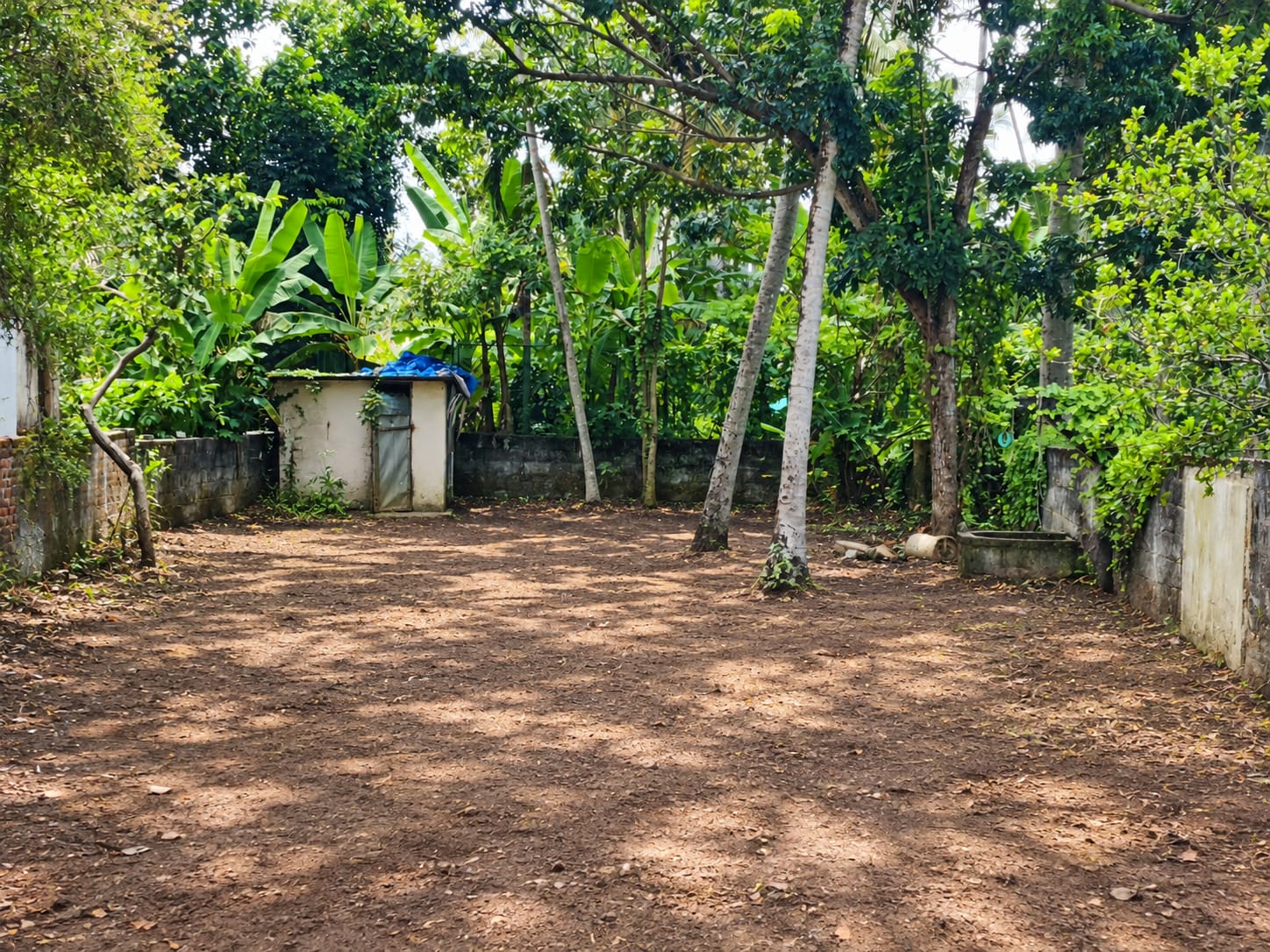 8.18 Cent Residential Land for Sale in Venpalavattom