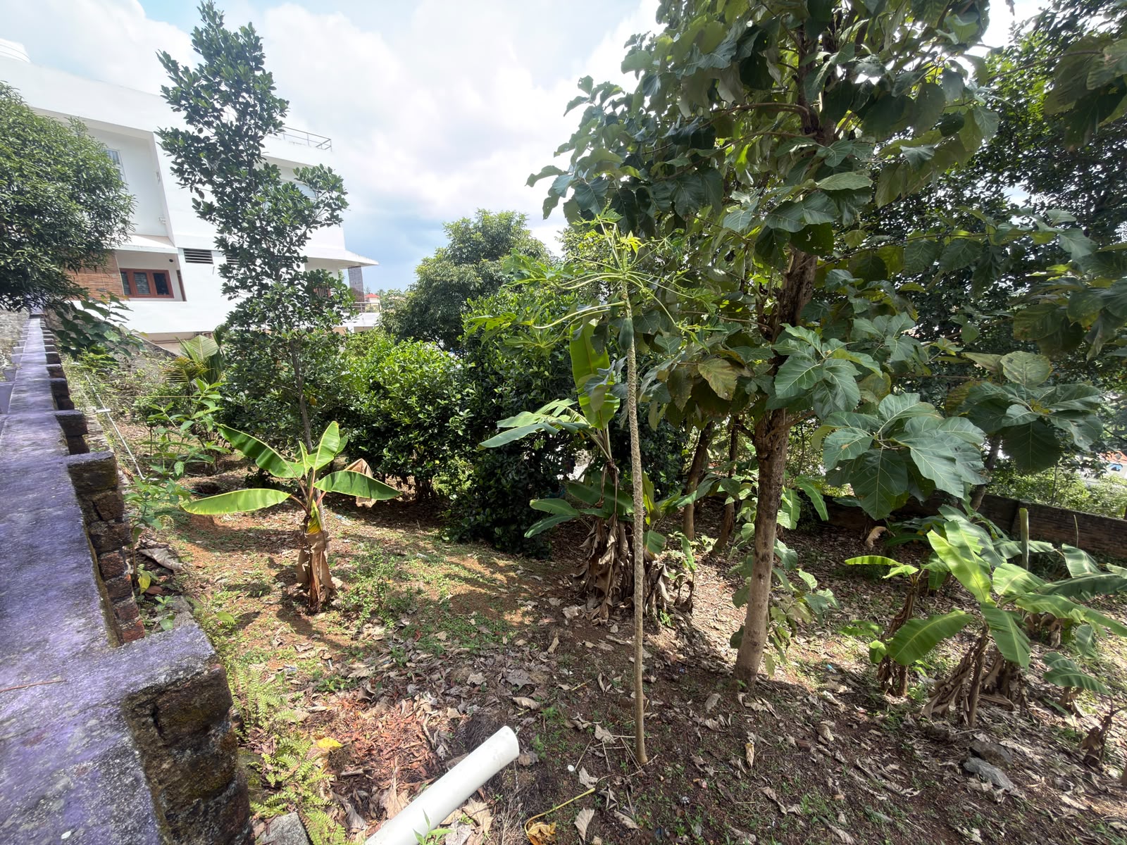 25 Cent Residential House and Land for Sale in Pothujanam Lane, Kumarapuram