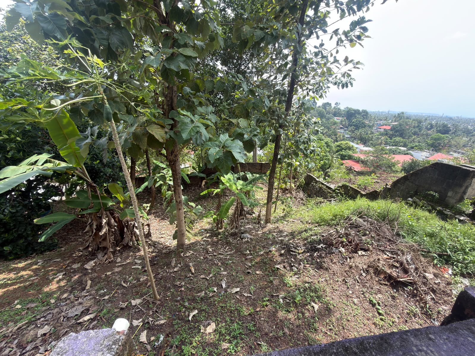 25 Cent Residential House and Land for Sale in Pothujanam Lane, Kumarapuram
